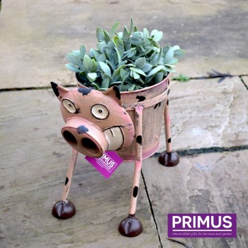 Goofy Pig Planter