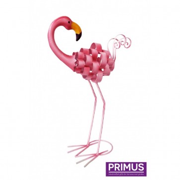 Fancy Flamingo - Backwards