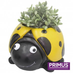 Ladybird Planter (Frost Proof Polyresin) Yellow