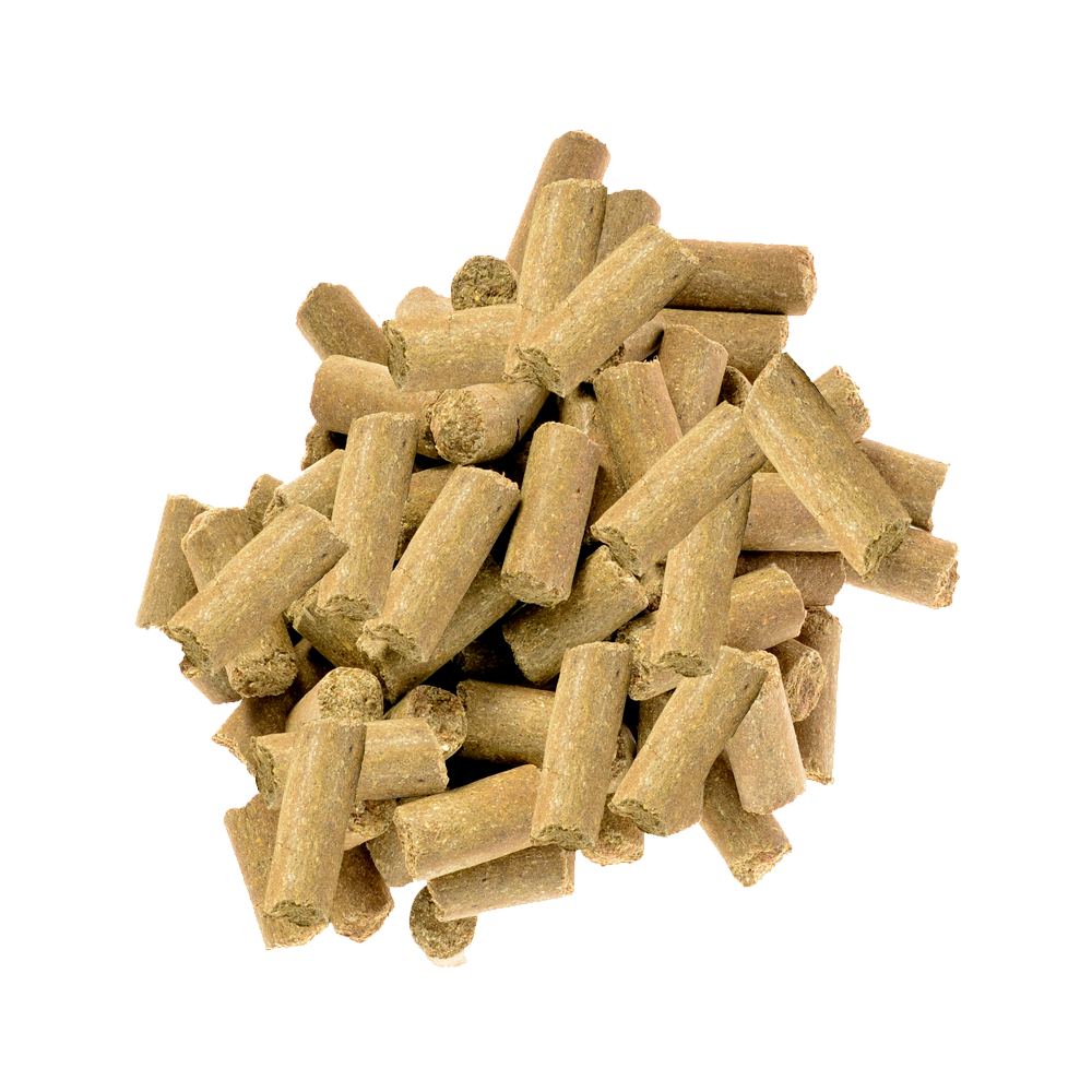 Kiwi&Co Paardensnoepjes Eucalyptus pellet