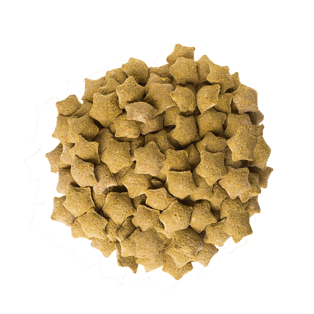 Kiwi&Co Paardensnoepjes Kiwi Ster