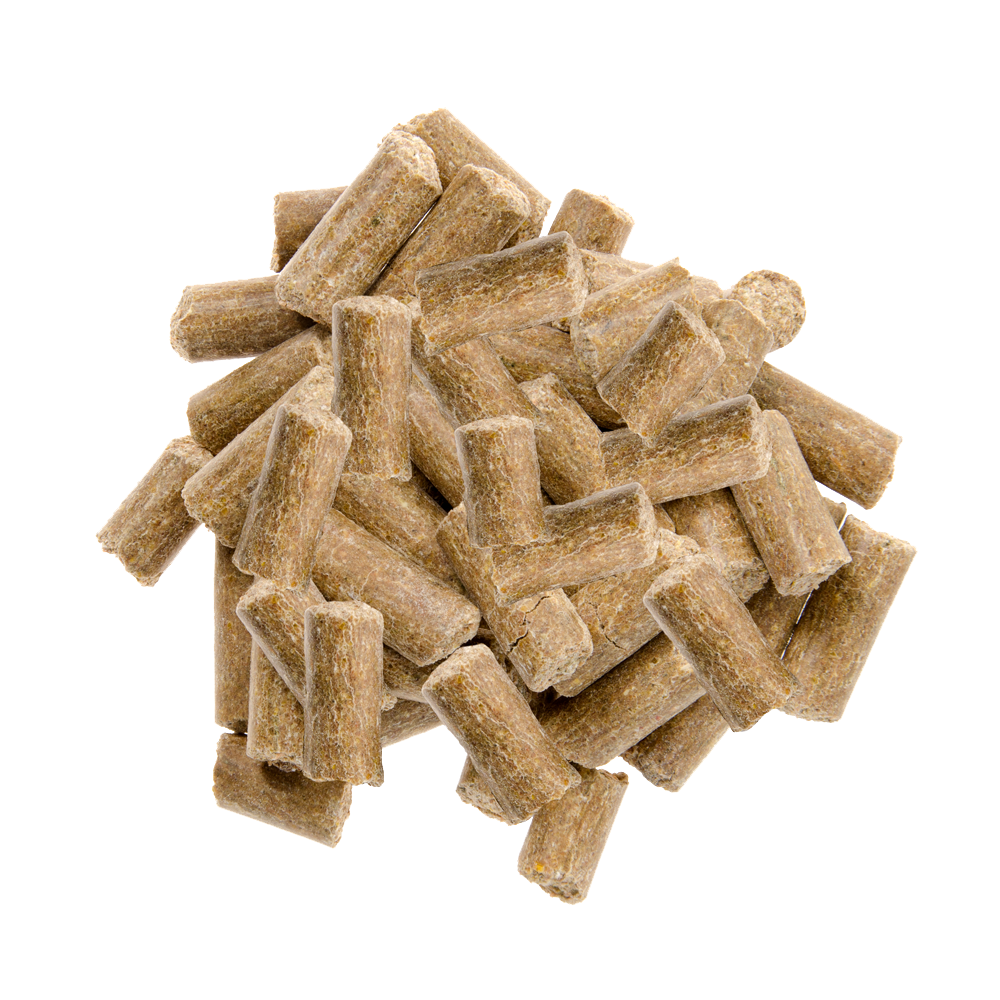 Kiwi&Co Paardensnoepjes Knoflook pellet